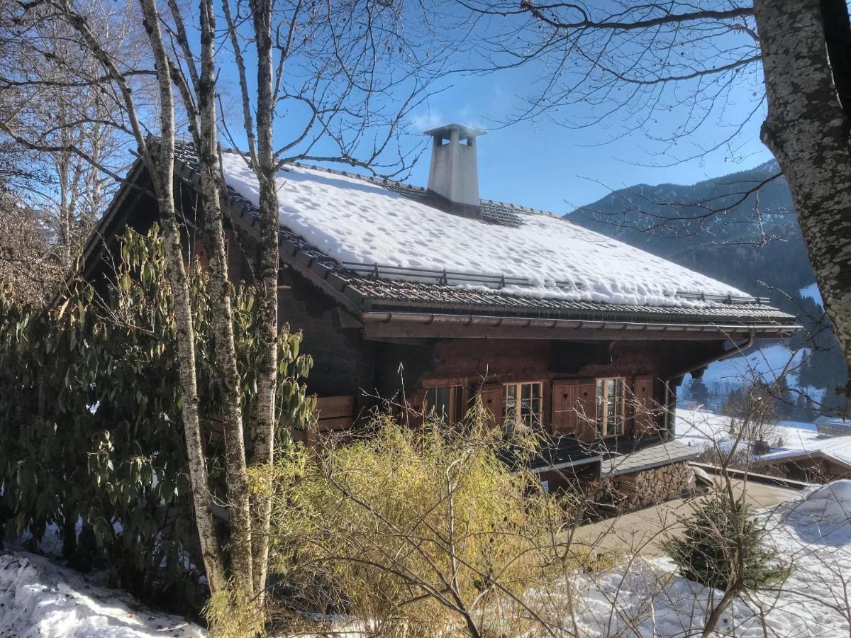 Villa Les Jumelles Gstaad Exterior foto